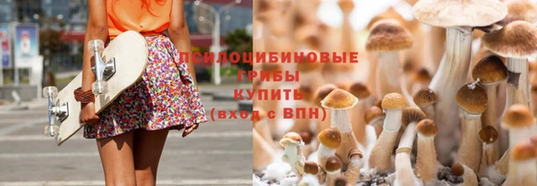 ПСИЛОЦИБИНОВЫЕ ГРИБЫ Абдулино