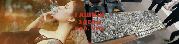 прущие грибы Абаза