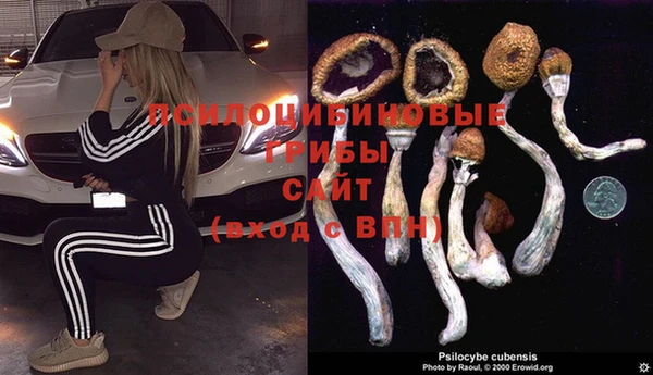 соль ск Алексеевка