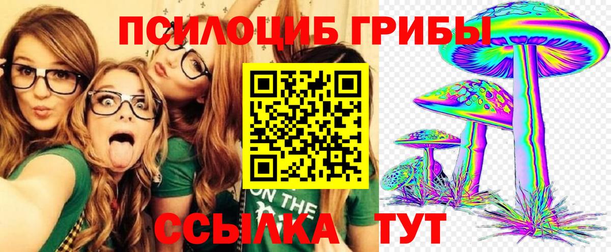Галлюциногенные грибы GOLDEN TEACHER  Галлюциногенные грибы мицелий  Янаул  Вход с VPN 