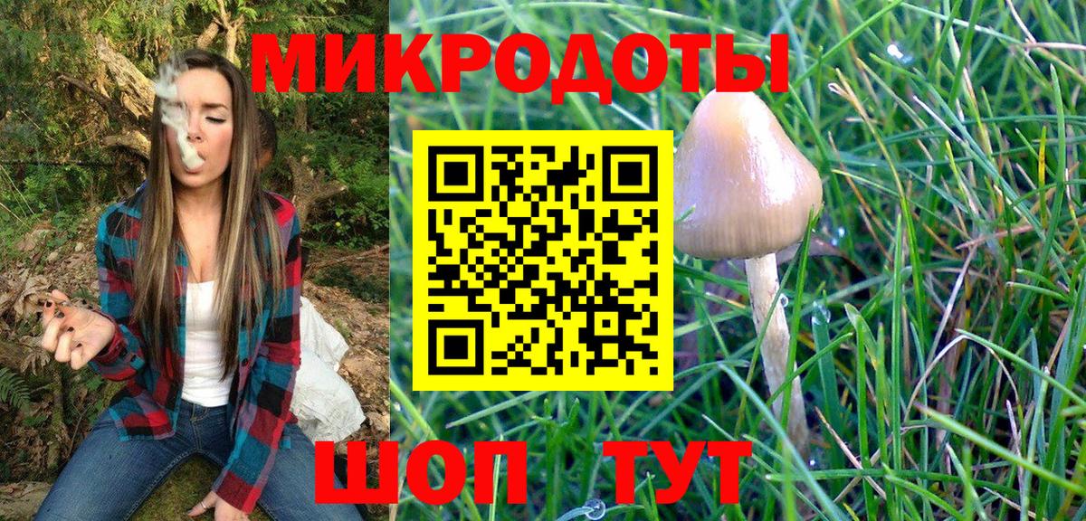 Галлюциногенные грибы Cubensis Янаул